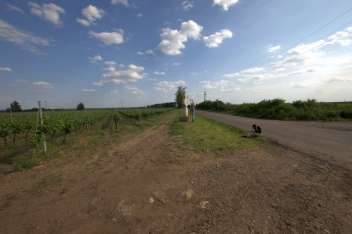 Cruce celtică | Săhăteni