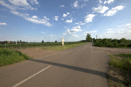 Cruce celtică | Săhăteni