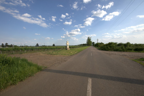 Cruce celtică | Săhăteni