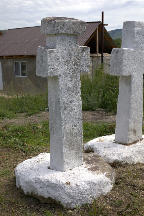 Cruce latină | Proșca