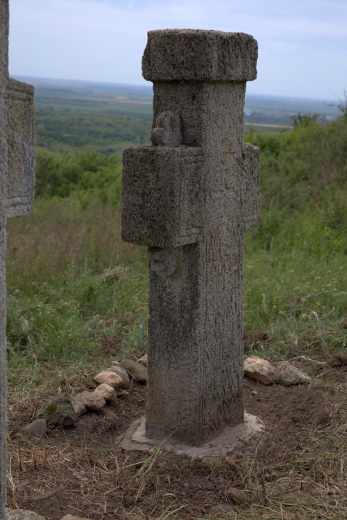 Cruce latină | Proșca