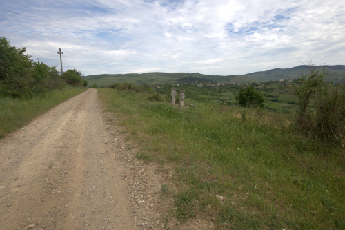 Cruce latină | Proșca