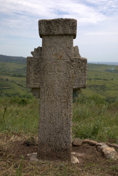 Cruce latină | Proșca