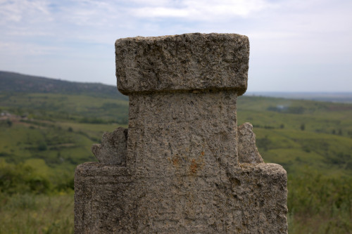 Cruce latină | Proșca