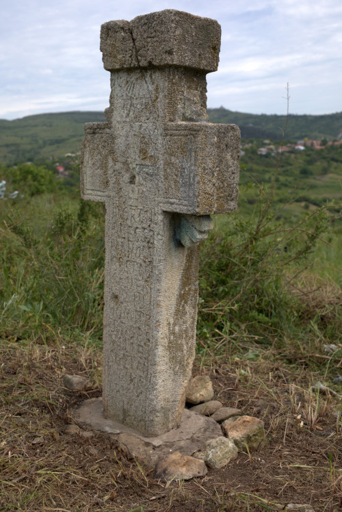 Cruce latină | Proșca