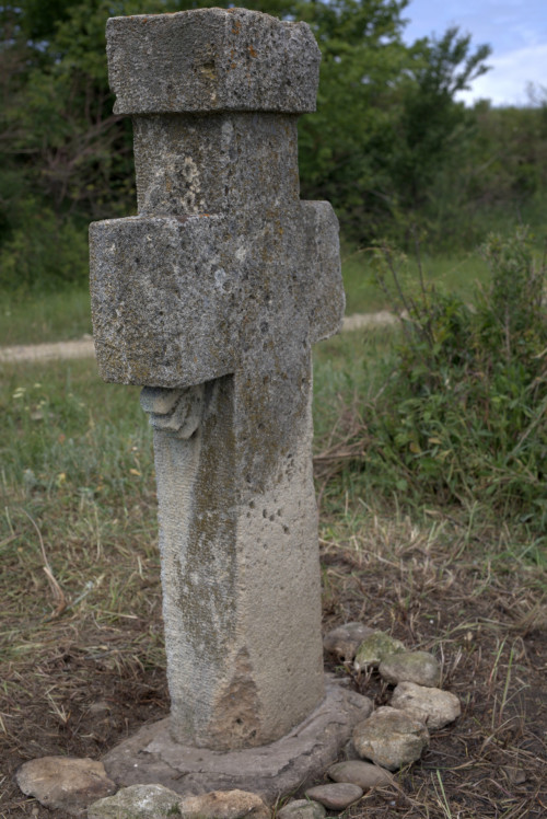 Cruce latină | Proșca