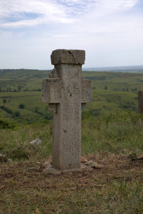 Cruce latină | Proșca