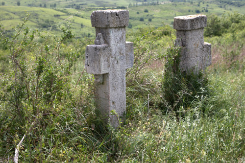 Cruce latină | Proșca