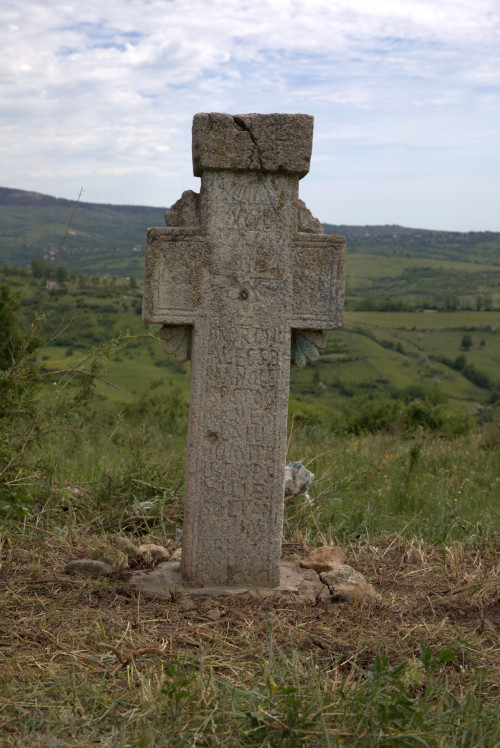 Cruce latină | Proșca