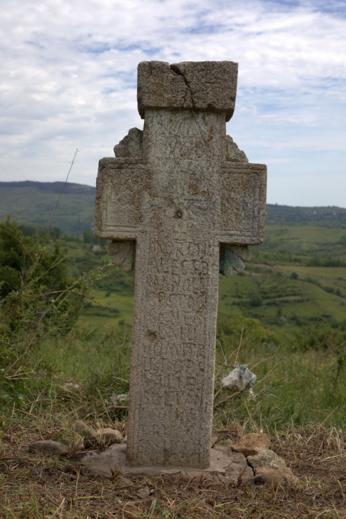 Cruce latină | Proșca