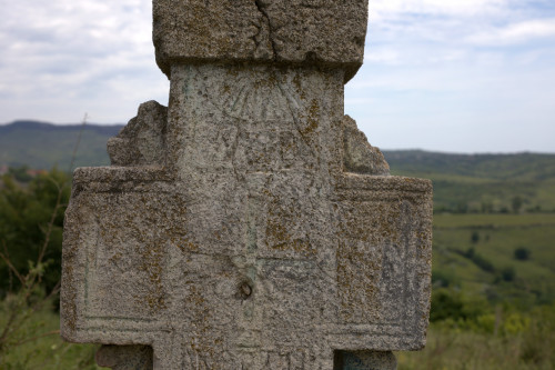 Cruce latină | Proșca