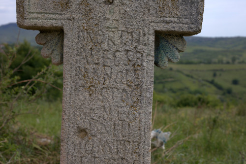 Cruce latină | Proșca