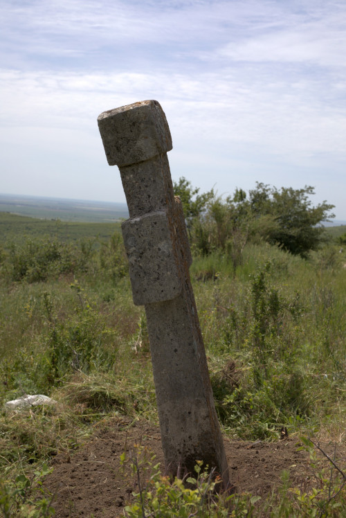 Cruce latină | Proșca