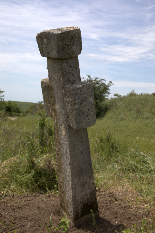 Cruce latină | Proșca