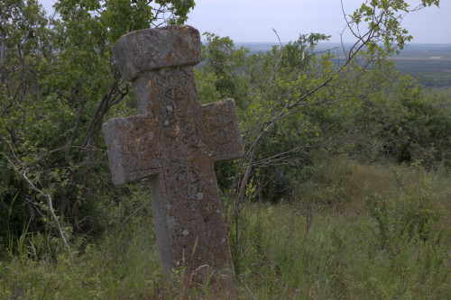 Cruce latină | Proșca