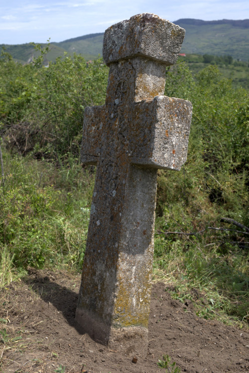 Cruce latină | Proșca