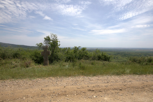 Cruce latină | Proșca