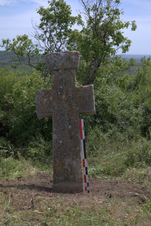 Cruce latină | Proșca