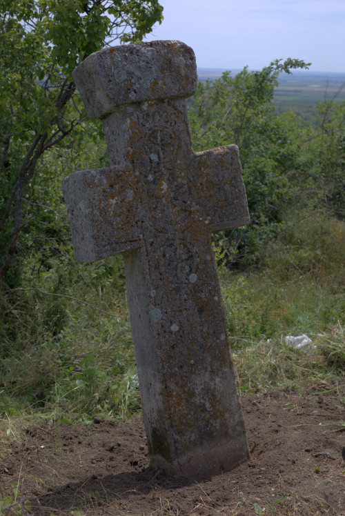 Cruce latină | Proșca