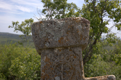 Cruce latină | Proșca