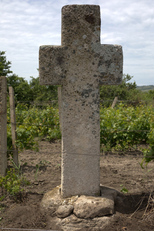 Cruce latină | Proșca