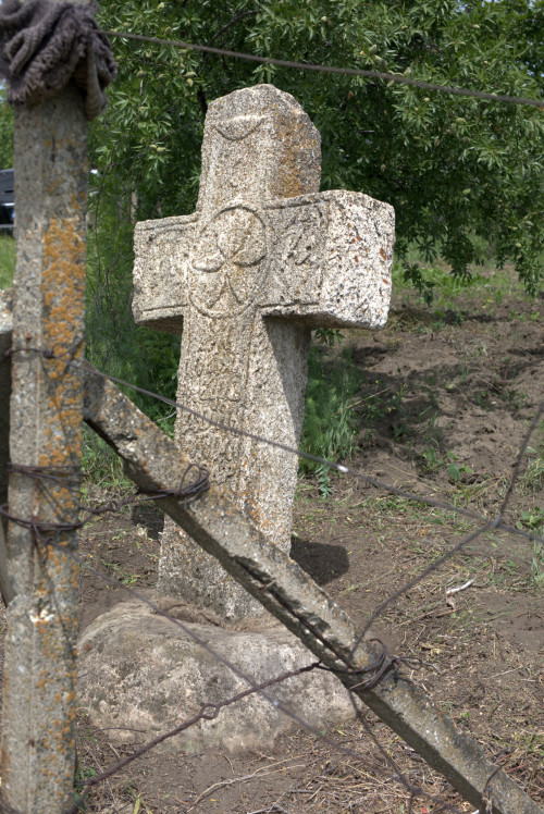 Cruce latină | Proșca