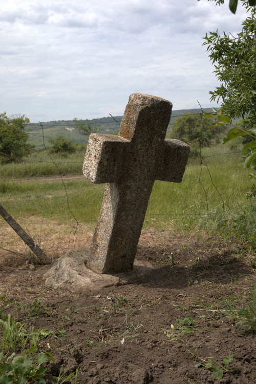 Cruce latină | Proșca