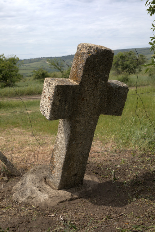 Cruce latină | Proșca