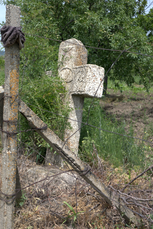 Cruce latină | Proșca