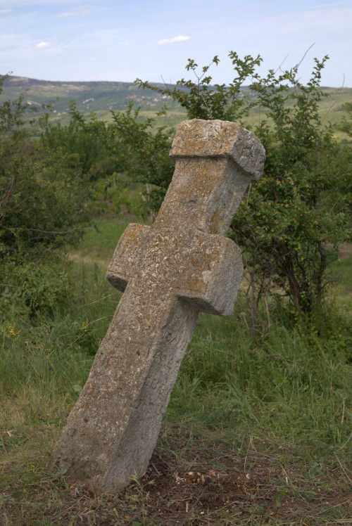 Cruce latină | Proșca