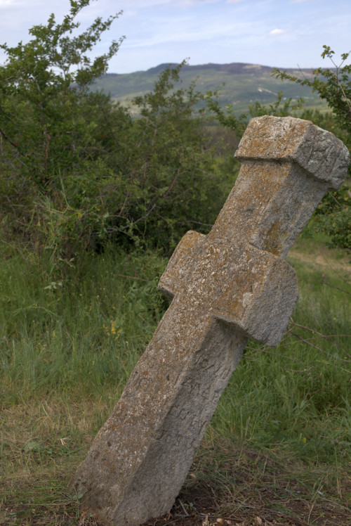 Cruce latină | Proșca