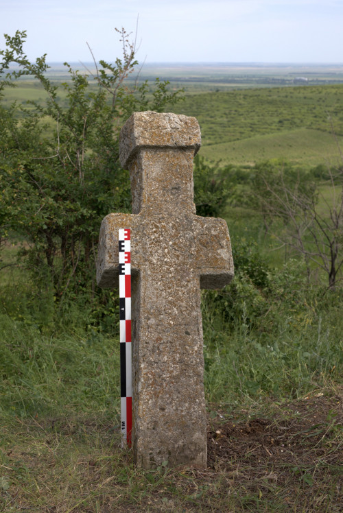 Cruce latină | Proșca