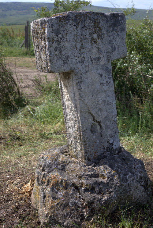 Cruce latină | Proșca