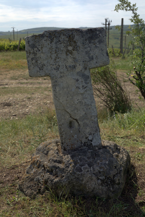 Cruce latină | Proșca