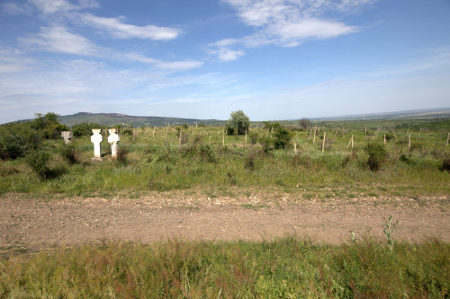 Cruce latină | Proșca