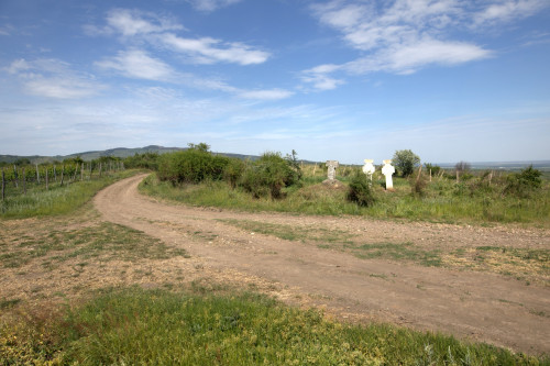 Cruce latină | Proșca