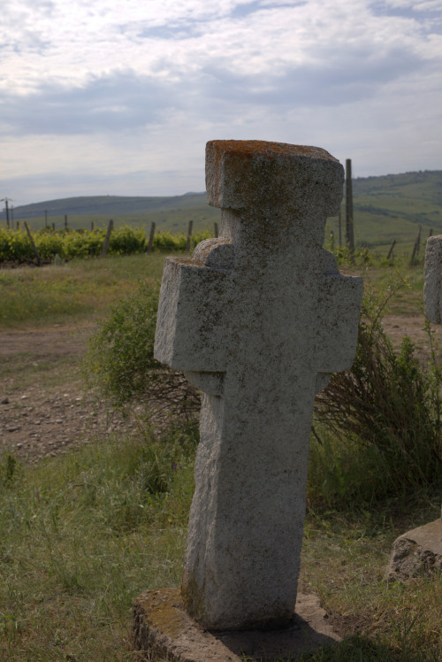 Cruce celtică | Proșca