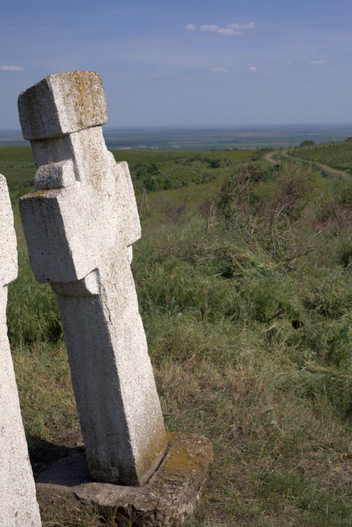 Cruce celtică | Proșca