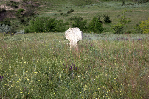 Cruce celtică | Năeni