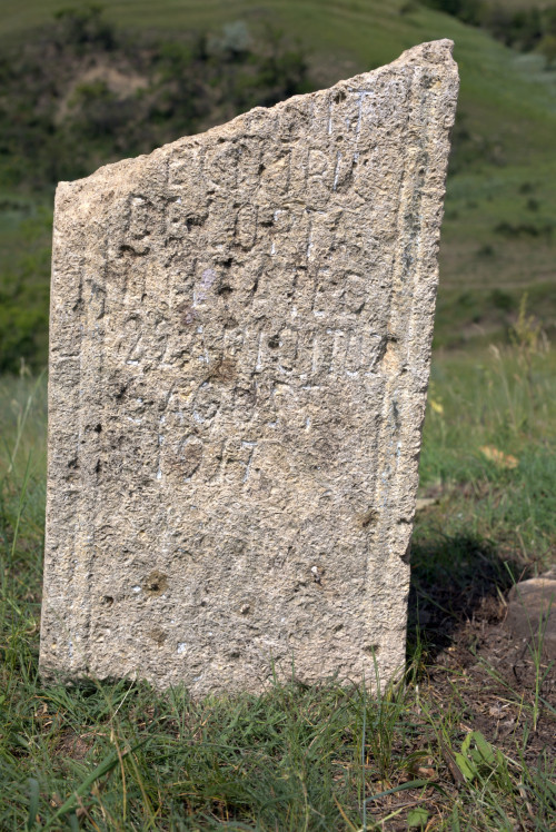 Cruce celtică | Năeni