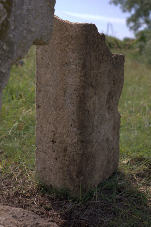 Cruce celtică | Năeni