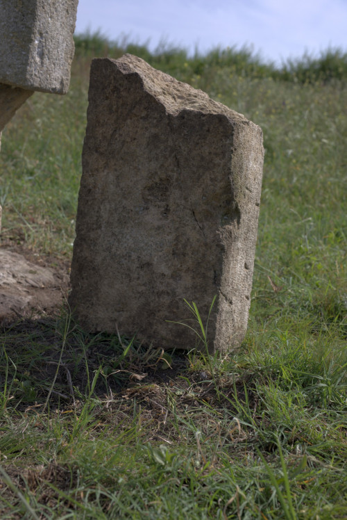 Cruce celtică | Năeni