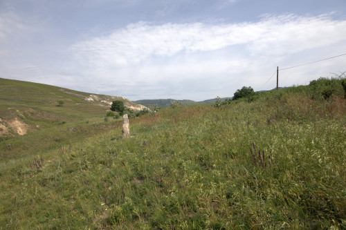 Cruce celtică | Năeni