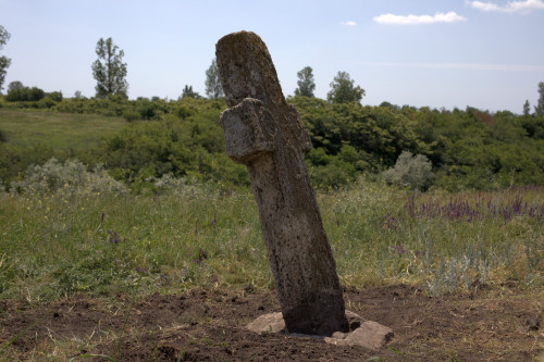 Cruce latină | Năeni