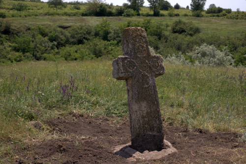 Cruce latină | Năeni