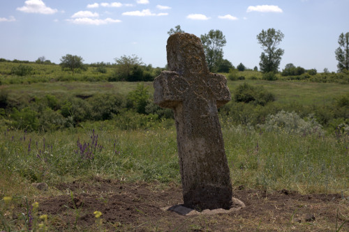 Cruce latină | Năeni