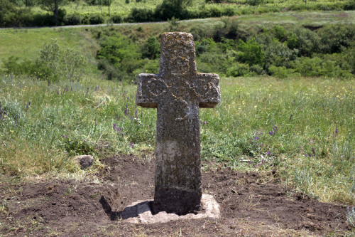 Cruce latină | Năeni