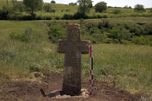 Cruce latină | Năeni