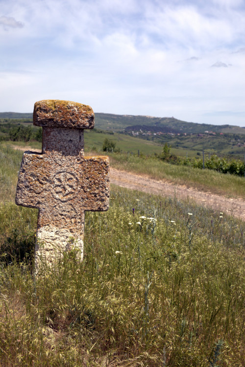 Cruce latină | Proșca