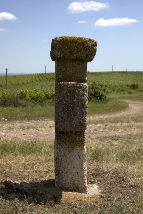 Cruce latină | Proșca